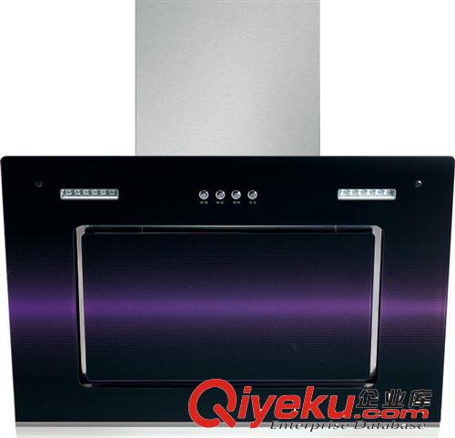 廠家直銷OEM歐式側吸抽油煙機