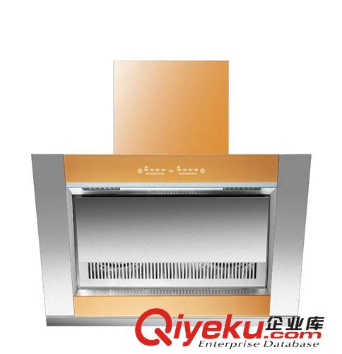 廠家直銷歐式側吸油煙機