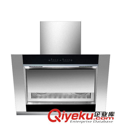 廠家直銷OEM雙電機土豪金抽油煙機