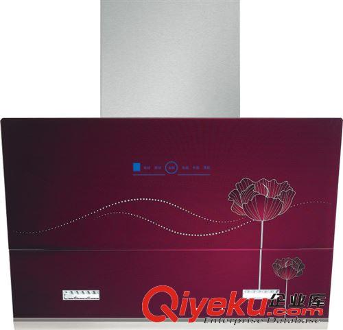 廠家直銷歐式側吸OEM雙電機油煙機