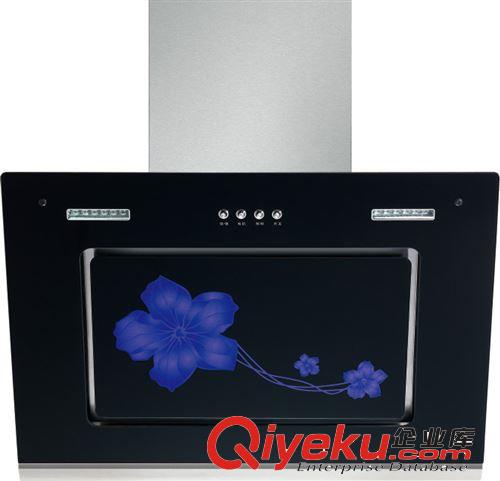 廠家直銷櫻花批發(fā)采購(gòu) 歐式 側(cè)吸 丁香花玻璃油煙機(jī) 電動(dòng)升降