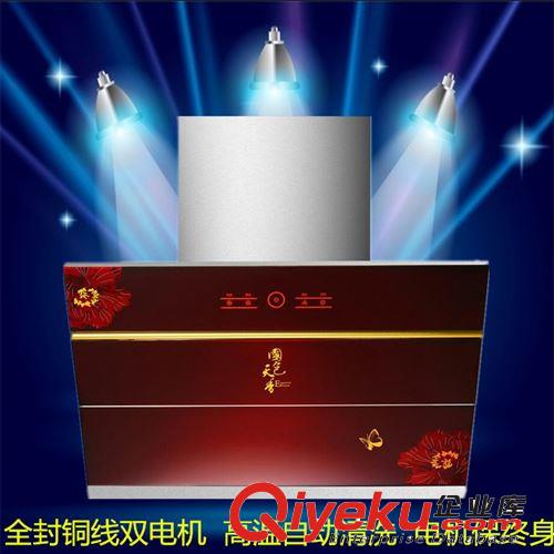 廠家直銷OEM抽油煙機(jī)側(cè)吸式油煙機(jī)