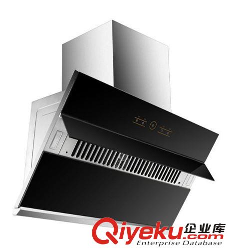 廠家批發(fā)采購(gòu)新品上市OEM直供櫻花新爆款油煙機(jī)側(cè)近吸智能升降原始圖片3