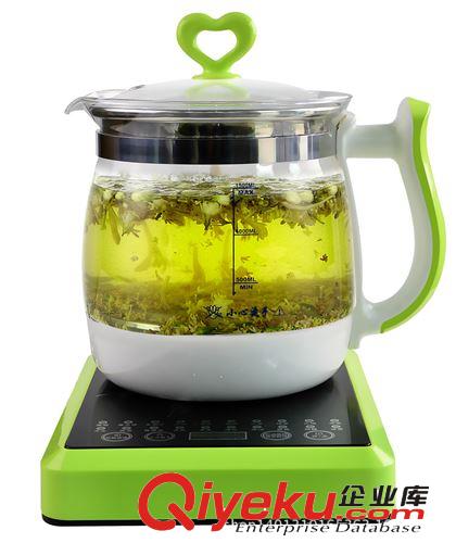 卡霓兒玻璃養生壺電熱茶壺煎藥保健壺分體式保溫可OEM廠家直銷