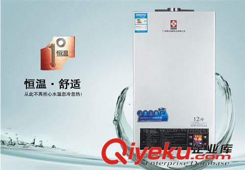 zp廣州櫻花智能強排恒溫天然氣液化氣 12L節(jié)能燃氣熱水器原始圖片3