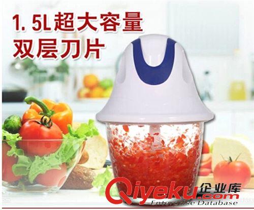 迷你多功能家用商用電動絞肉機料理機打肉機嬰兒輔食碎肉機果汁機