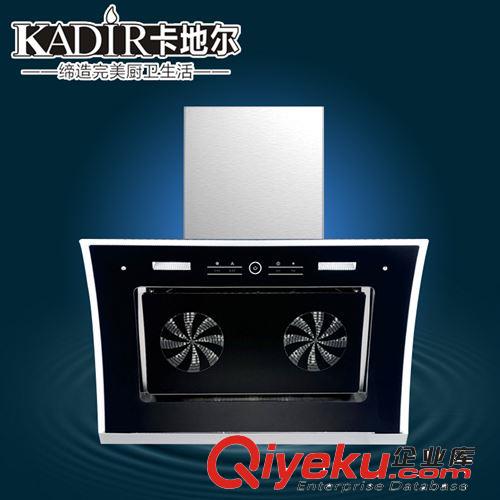 批發供應 中山抽油煙機oem  雙電機抽油煙機