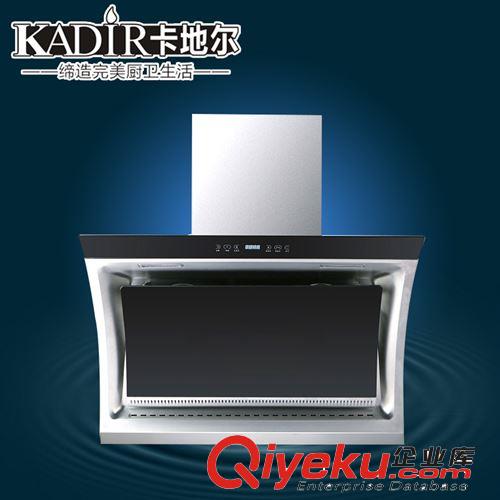 批發(fā)供應(yīng) 中山抽油煙機(jī)oem  雙電機(jī)抽油煙機(jī)
