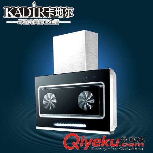 專業(yè)生產(chǎn) 超薄抽油煙機(jī) 中山抽油煙機(jī)oem