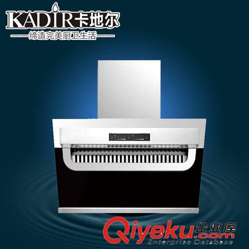廠家直銷 側吸抽油煙機 智能抽油煙機批發(fā)