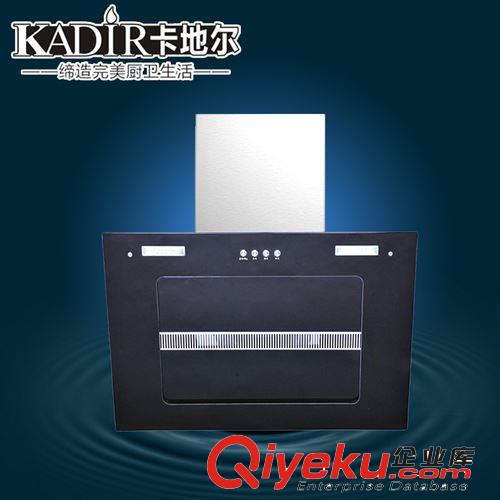 廠家直銷 側吸抽油煙機 智能抽油煙機批發(fā)