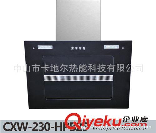 廠家直銷 側吸抽油煙機 智能抽油煙機批發(fā)原始圖片3