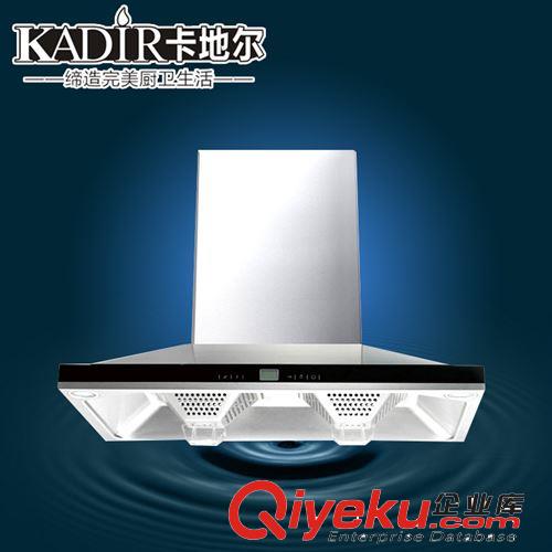 專(zhuān)業(yè)生產(chǎn) 新款抽油煙機(jī) 側(cè)吸抽油煙機(jī)