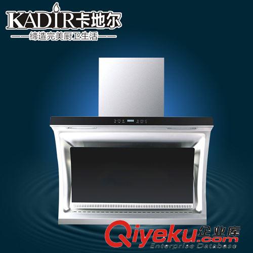 專(zhuān)業(yè)生產(chǎn) 新款抽油煙機(jī) 側(cè)吸抽油煙機(jī)