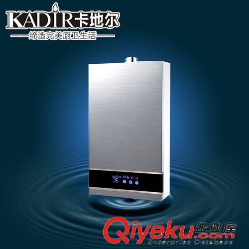 专业销售 强排式燃气热水器 智能恒温燃气热水器