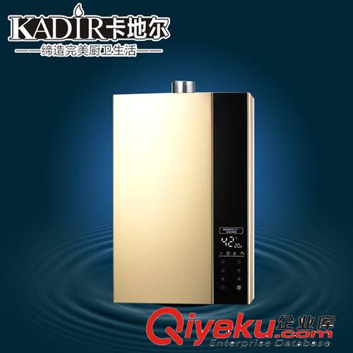 恒温燃气热水器 中山强排燃气热水器 容积式燃气热水器