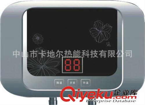 時尚花紋大功率電熱水器C05   即熱式儲水式電熱小廚寶