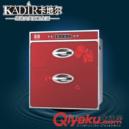 廠家銷售 雙門雙用xd碗柜 立式高溫xd碗柜