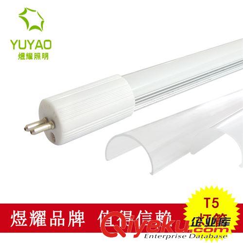 廠家供應(yīng) 優(yōu)質(zhì)家居辦公照明 LED分體日光燈 1.5米 20W  T5燈管