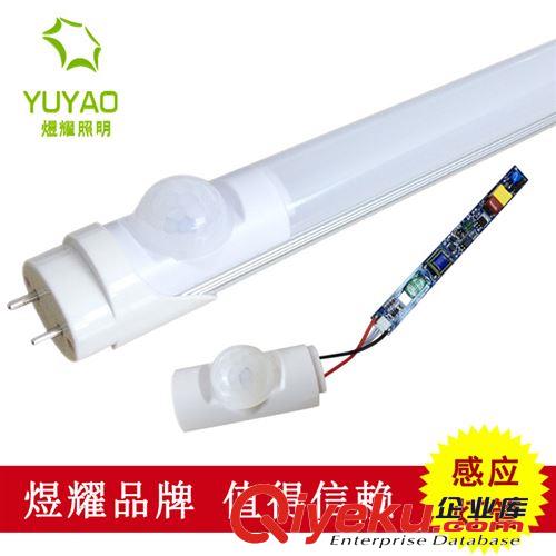 廠家直銷 智能人體紅外感應(yīng)LED日光燈管【led 燈】原始圖片2