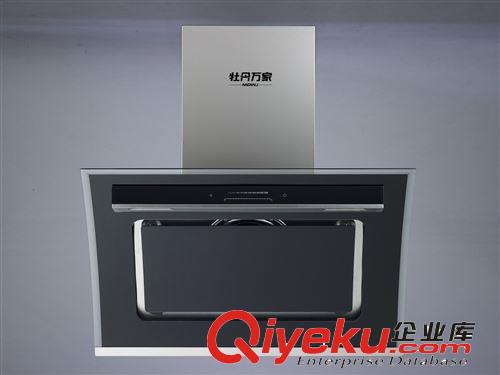 爆款 廚衛(wèi)電器 廠家直批 全網(wǎng){zd2}價(jià) 新款油煙機(jī)