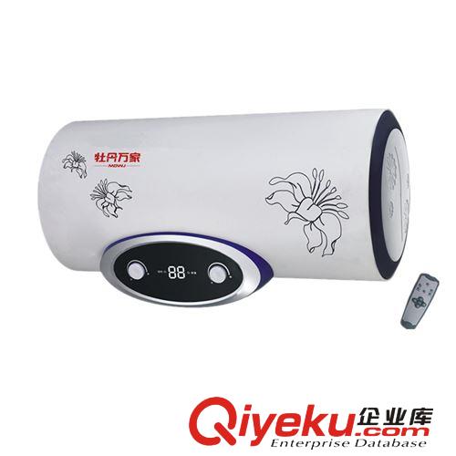 廠家直批 全網(wǎng){zd2}價(jià) 儲(chǔ)水式電熱水器30L/40L/50L/60L/80L/100L