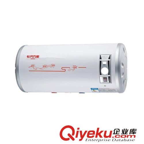 廠家直批 全網(wǎng){zd2}價(jià) 新款儲水式電熱水器30L/40/50L/60L/80L