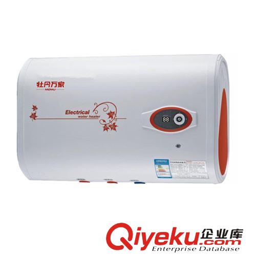 廠家直批 全網(wǎng){zd2}價 新款儲水式電熱水器30L/40/50L/60L/80L/100