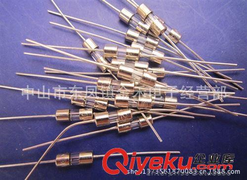 現貨供應F10A/250V快斷3.6*10保險絲  內焊型 單帽帶引線  200/包原始圖片2