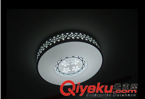 【廠家直銷】新款LED不銹鋼吸頂燈/ 臥室燈/ 客廳燈/  質(zhì)量保證原始圖片2