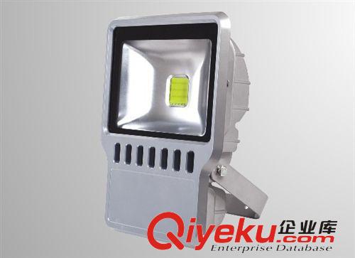 LED投光泛光燈 120W 紅綠蘭黃白 防雨原始圖片3