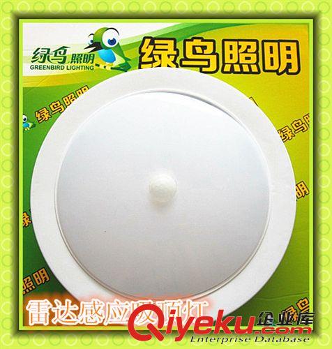 節(jié)能靈敏感應(yīng)led吸頂燈過道專用節(jié)能照明燈人體感應(yīng)吸頂燈原始圖片2