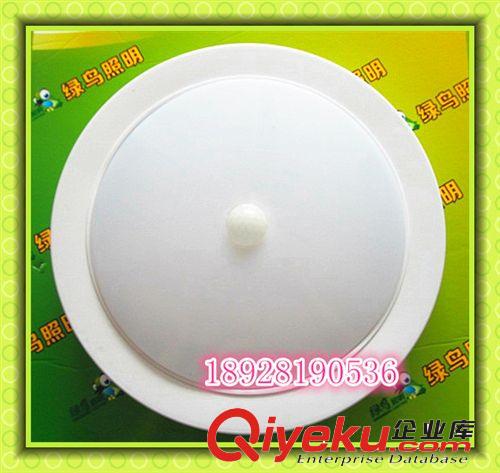 節(jié)能靈敏感應(yīng)led吸頂燈過道專用節(jié)能照明燈人體感應(yīng)吸頂燈原始圖片3