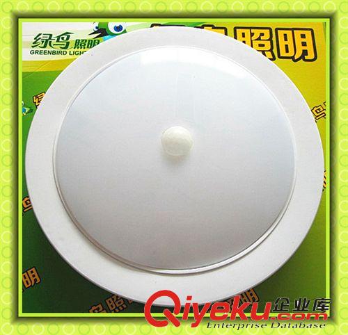 15wled雷達(dá)感應(yīng)吸頂燈 走廊感應(yīng)燈 LED樓道感應(yīng)吸頂燈原始圖片3