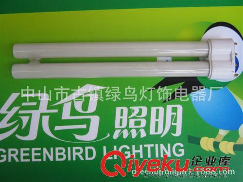 綠鳥  127V H管 低壓H管 110V-127V低壓節(jié)能燈原始圖片3
