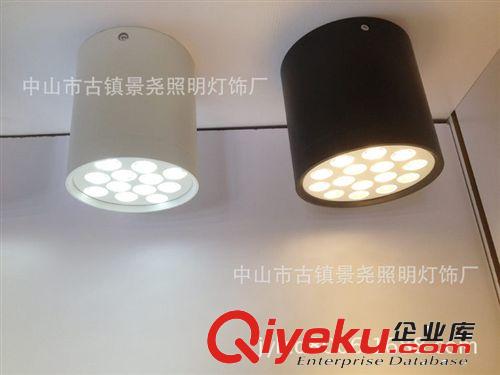 12w明裝筒燈 12W LED明裝射燈 9W吸頂天花燈 白光明裝工程射燈原始圖片2