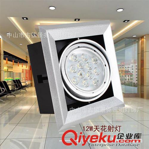 led斗膽燈12w方形賓館節能豆膽射燈酒店單頭格柵燈商業廣場豆膽燈原始圖片3