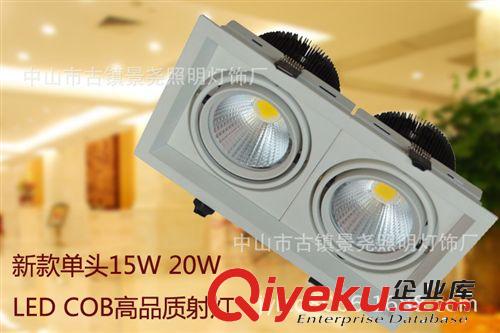 新款AR70二頭 COB斗膽燈 COB單頭 15W 20W 開孔230*125mm工程照明原始圖片2