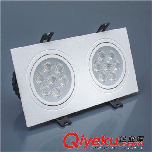 【廠家供應】6W 10W 14W斗膽燈 雙頭斗膽燈LED格柵燈原始圖片3