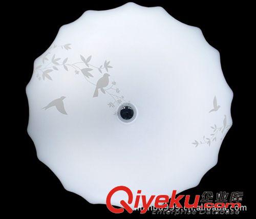 廠家生產 LED天花吸頂燈 燈飾照明產品批發 美居多彩藍原始圖片2