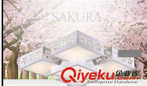 廠家銷售簡約現(xiàn)代LED吸頂燈 環(huán)保節(jié)能LED異形吸頂燈 組合燈原始圖片3