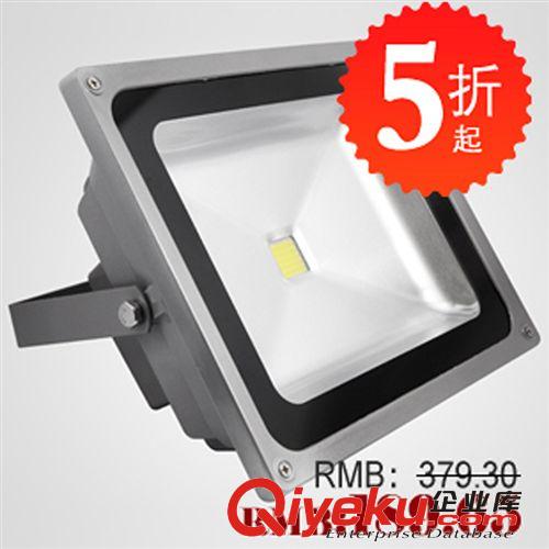 LED50W投光灯护外灯广告牌灯招牌灯绿化工程照明30W70W