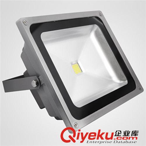 LED50W投光灯护外灯广告牌灯招牌灯绿化工程照明30W70W