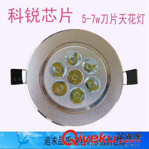 3W天花燈 LED射燈LED天花燈 科銳芯片LED天花燈 廠家直銷 質保3年