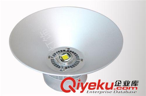 廠家直銷20w 30W 50w led工礦燈 天棚燈 廠房 倉庫專用燈 LED燈