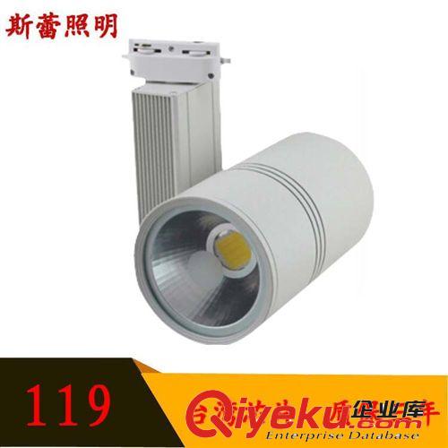 供應(yīng) 畫展 電影院 服裝 照明射燈  軌道燈 3 5 7 9 12 18W 導(dǎo)軌燈原始圖片3