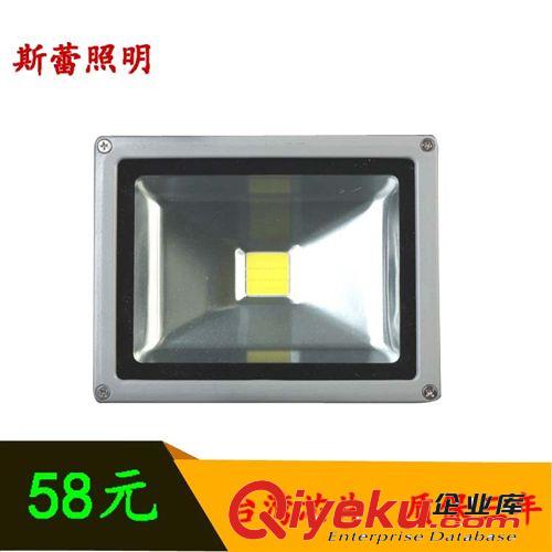 《廠家直銷》供應LED大功率投光燈 20W大功率泛光燈 集成投光燈原始圖片2