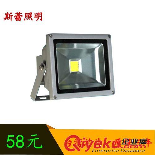 《廠家直銷》供應LED大功率投光燈 20W大功率泛光燈 集成投光燈原始圖片3