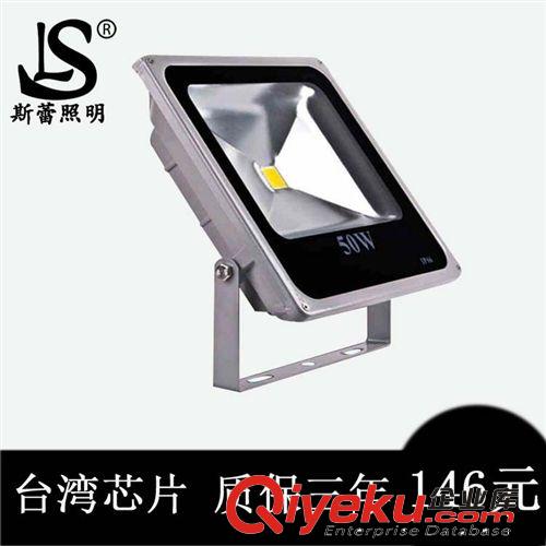 廠家直銷 供應 LED投光燈 50W 投光燈 泛光燈