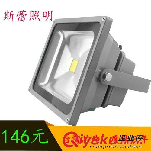 廠家直銷 供應 LED投光燈 50W 投光燈 泛光燈原始圖片2